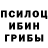 Псилоцибиновые грибы прущие грибы feltman
