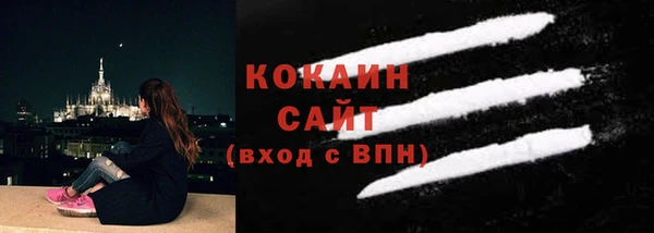 шишки Богданович