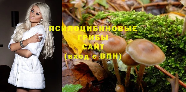 дживик Бугульма