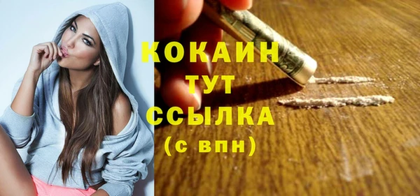шишки Богданович