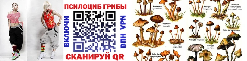 где купить наркоту  Северск  Галлюциногенные грибы мухоморы 