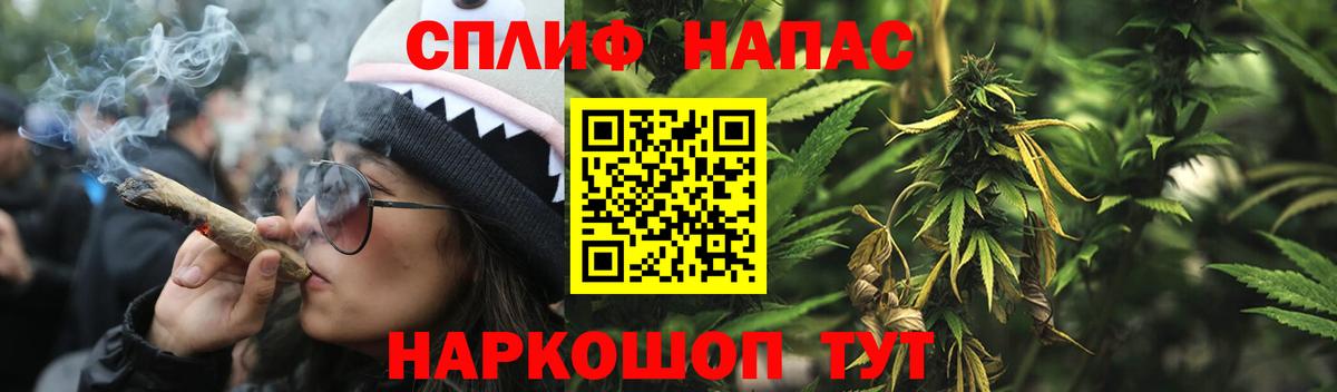 Каннабис конопля  Канабис семена  Вход с VPN  Марихуана планчик  Марихуана LSD WEED  Северск 